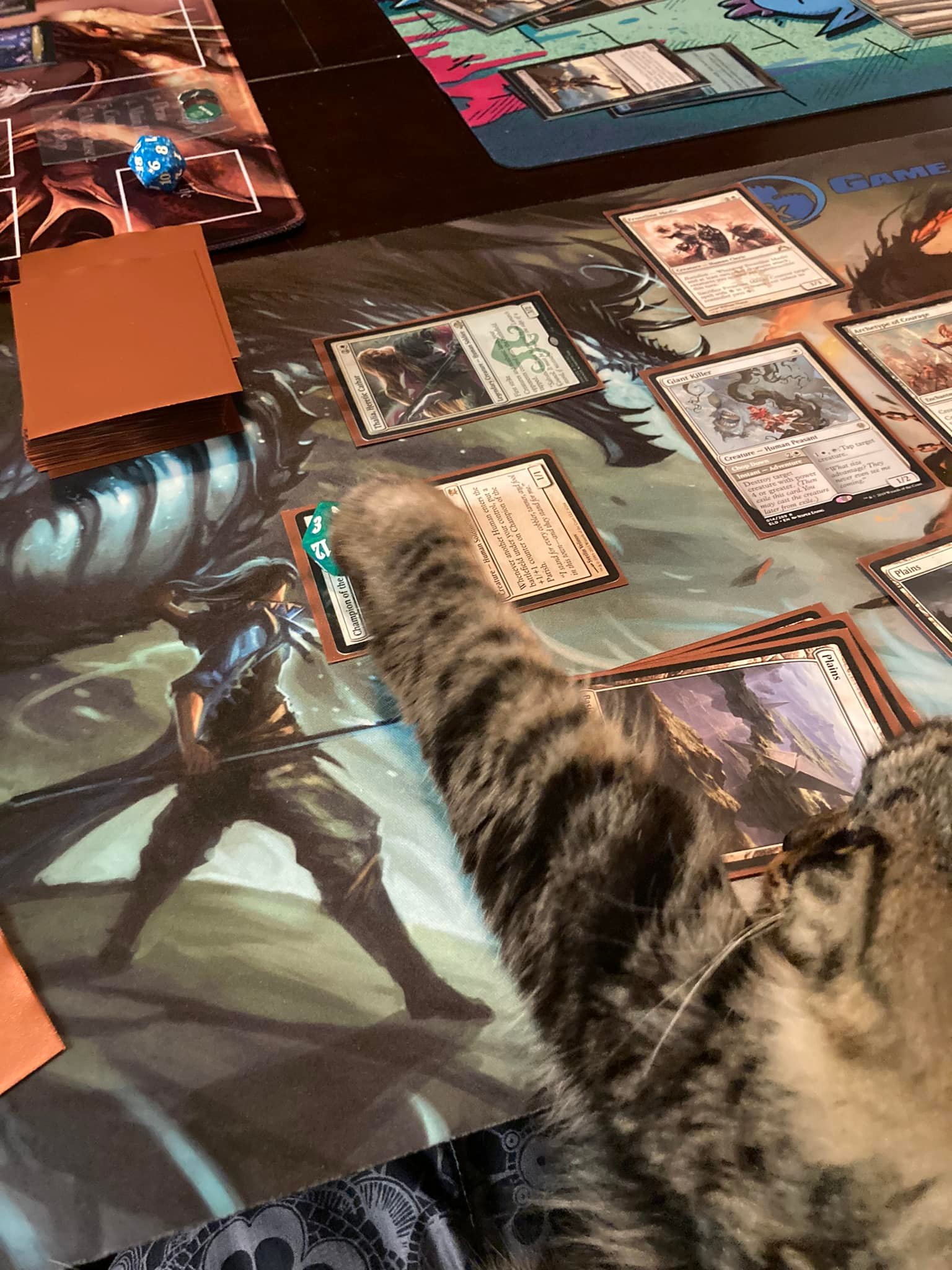 mtg cat equipment commander deck Cats & Dogs - Rin and Seri, Inseparable This cats and dogs tribal deck is a fun and competitive way to play the game Equipment based commander deck :