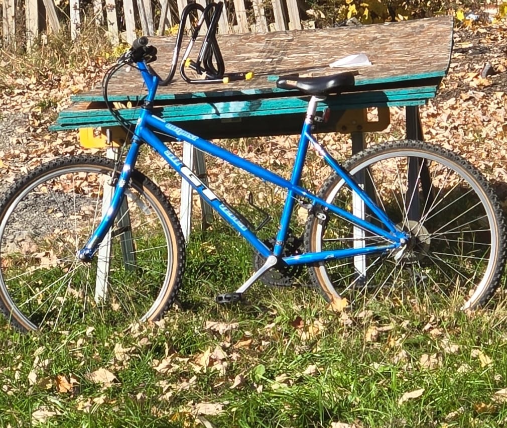 UPDATE: this bicycle is SOLD! 1990s bicycle, GT BMX Mach Two