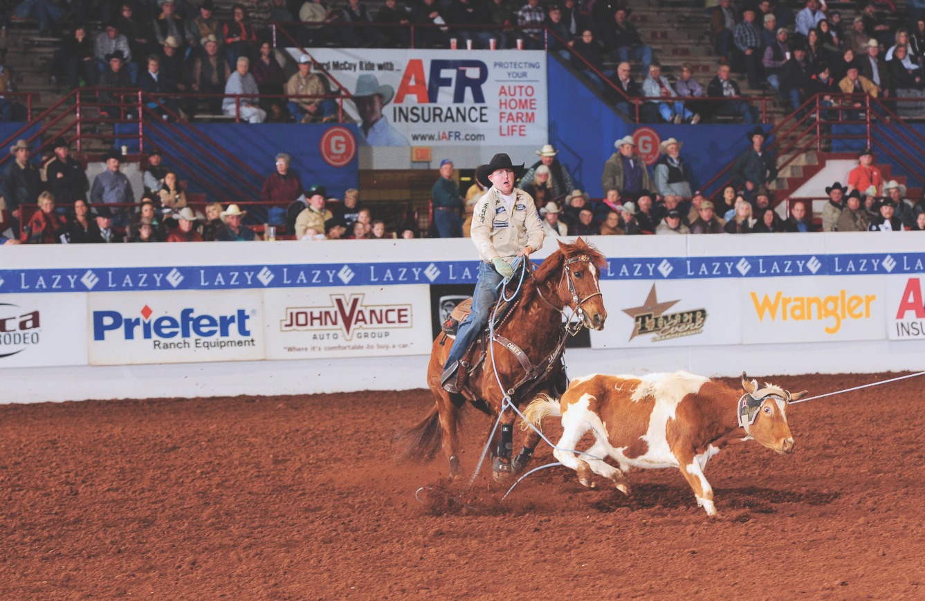 The Team Roping Journal Magazine - Jade Corkill's Ice Cube went from ...