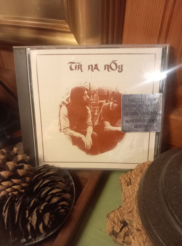 Introduction to Tir Na Nog band and their music