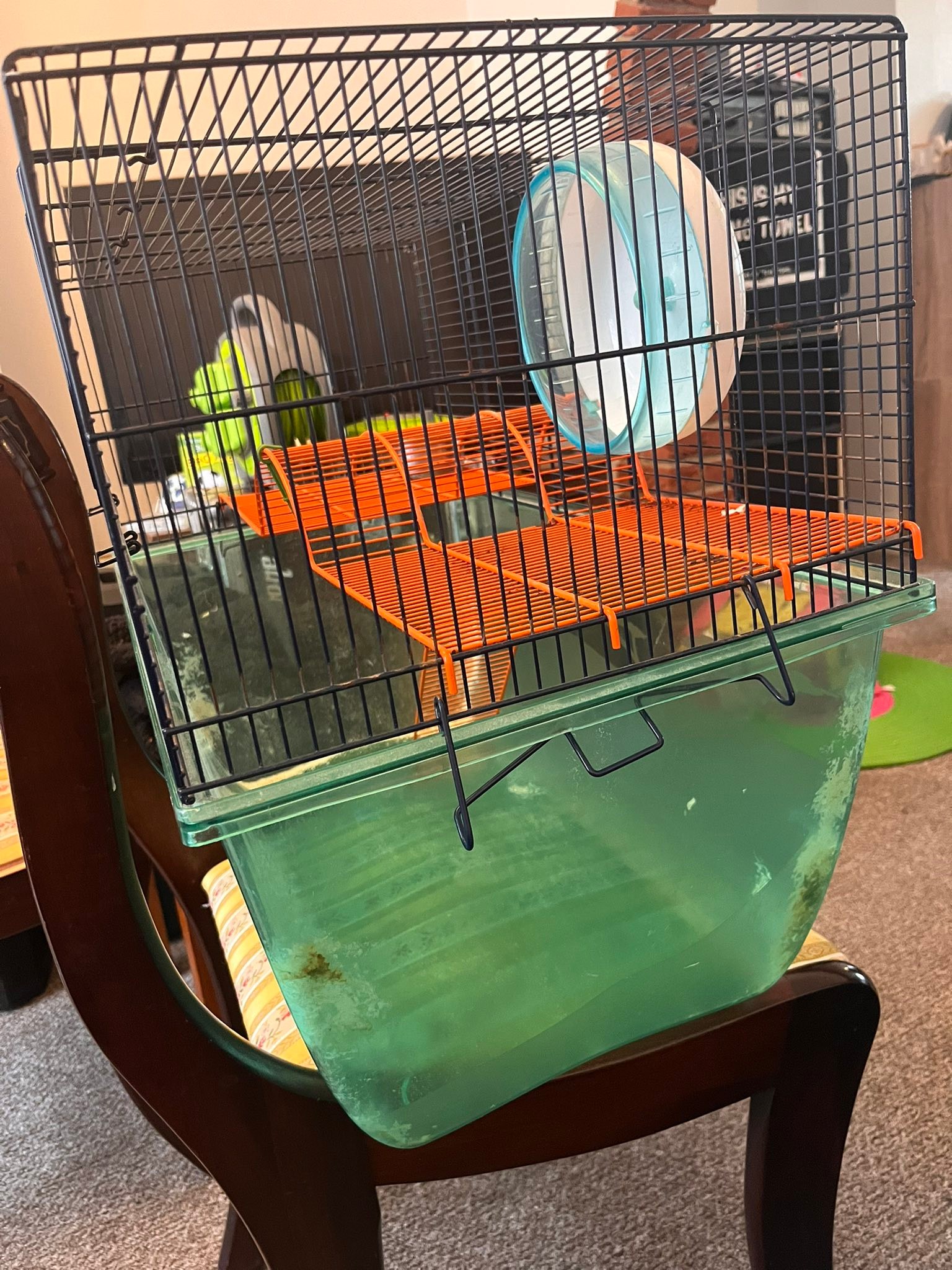 View of Eco Essex Rehome, Reuse, Repurpose | Large hamster cage- needs a clean ...