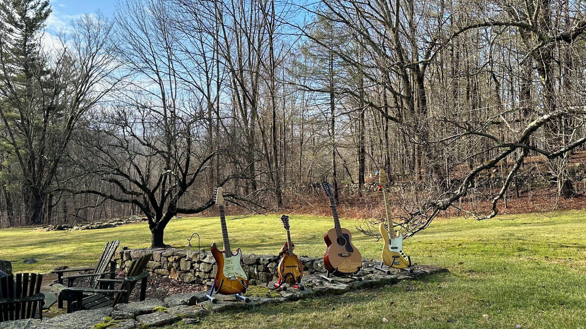 Litchfield Musicians | Facebook