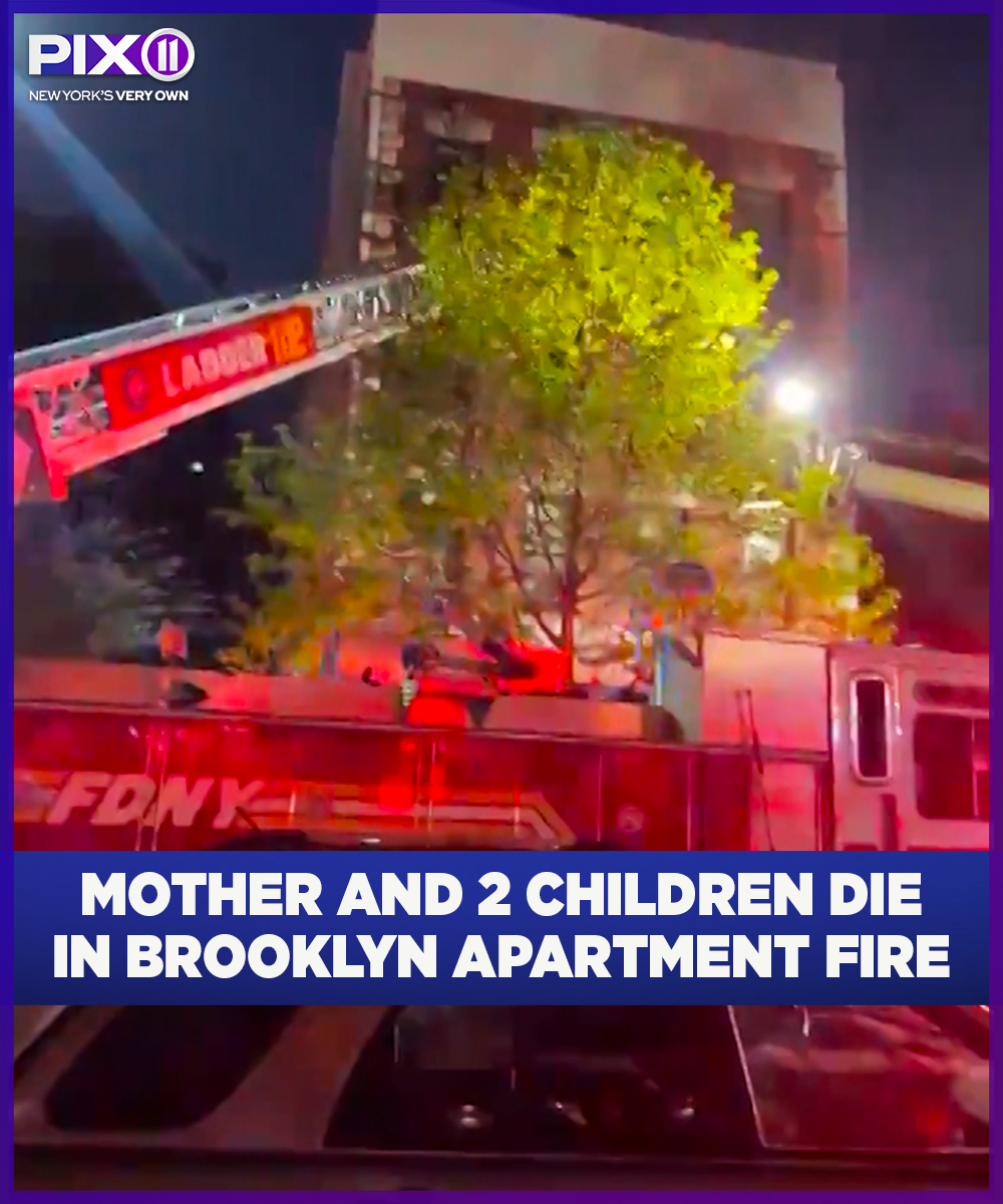 PIX11 - A mother and her two children were killed in a Brooklyn ...