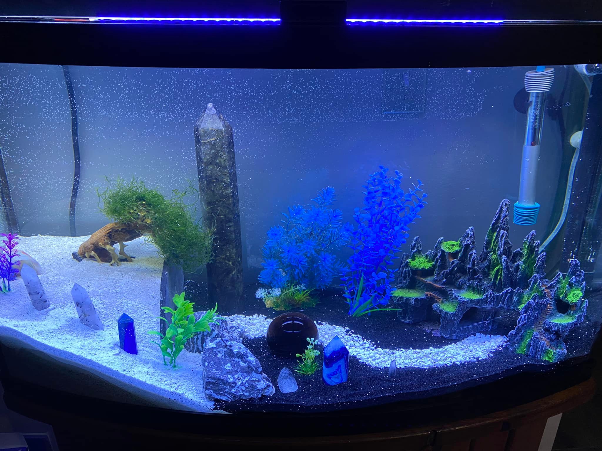 fish aquarium accessories philippines EKDJKK 11 Pcs Plants, Artificial Aquarium Decor Colorful Plants, Tank Accessories, Fish Tank Plant Plastic Decoration for Household and Office Aquarium Simulation Pet Supplies Aquarium Boi PH - ABPH