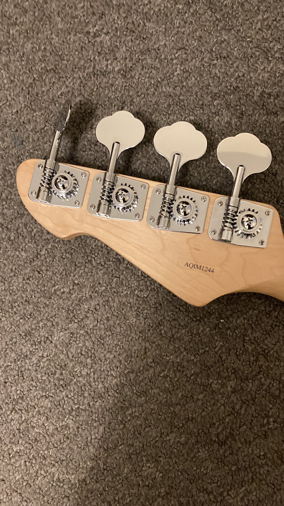 Hello, opinions on the PEAVEY Zodiac BXP?
