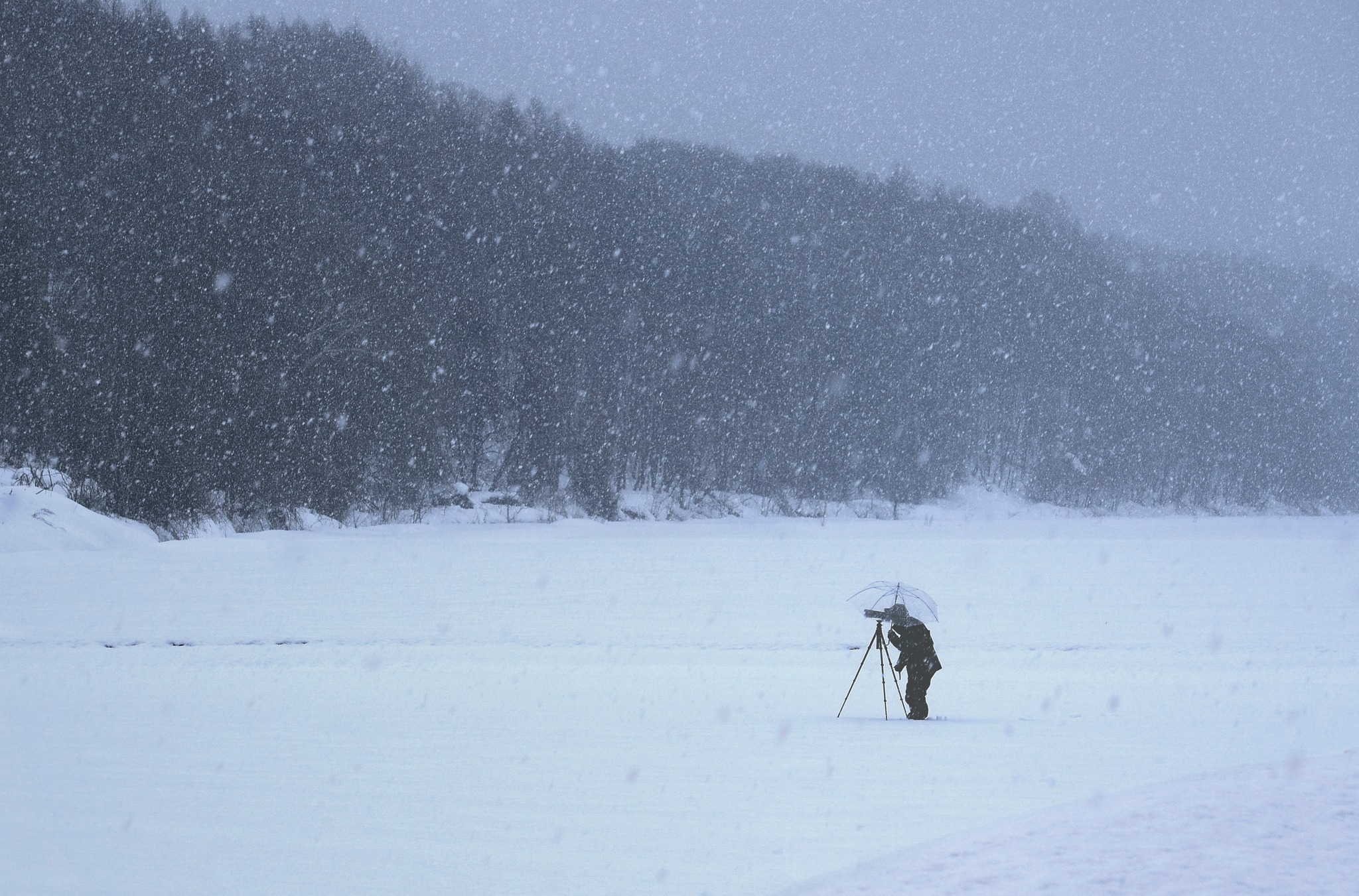 2018 3/12. Hokkaido Japan. Nikon P900