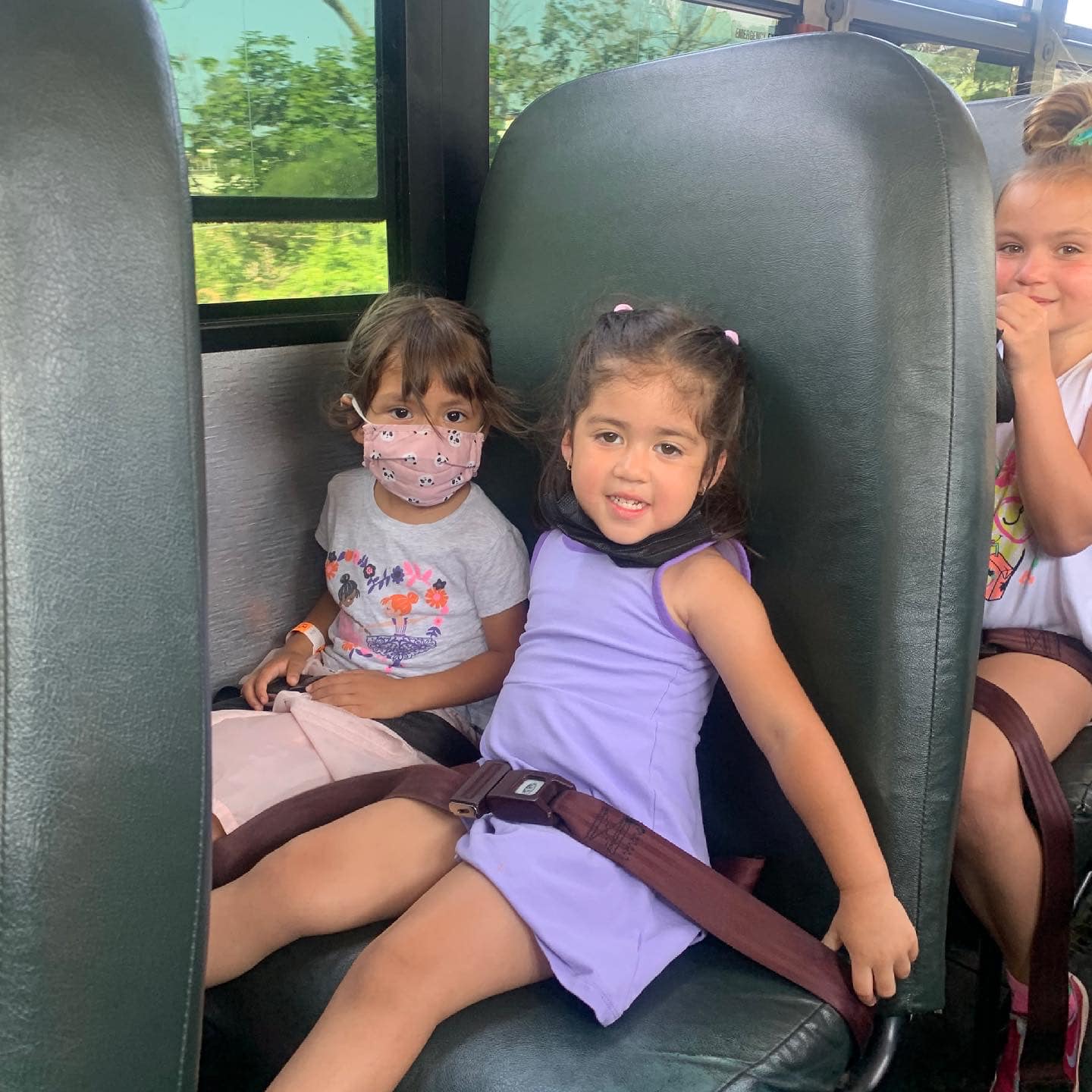 Groovy Connections : Groovy Connection › La ola electronica – BFOZO