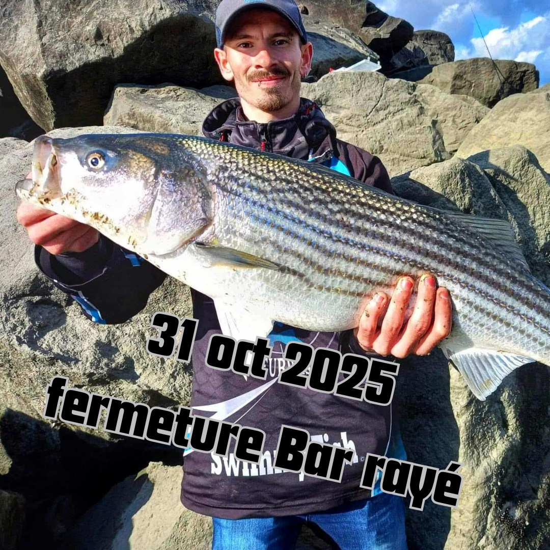 Passion pêche Bar Rayé | La période de pêche au bar rayé au Québec s ...