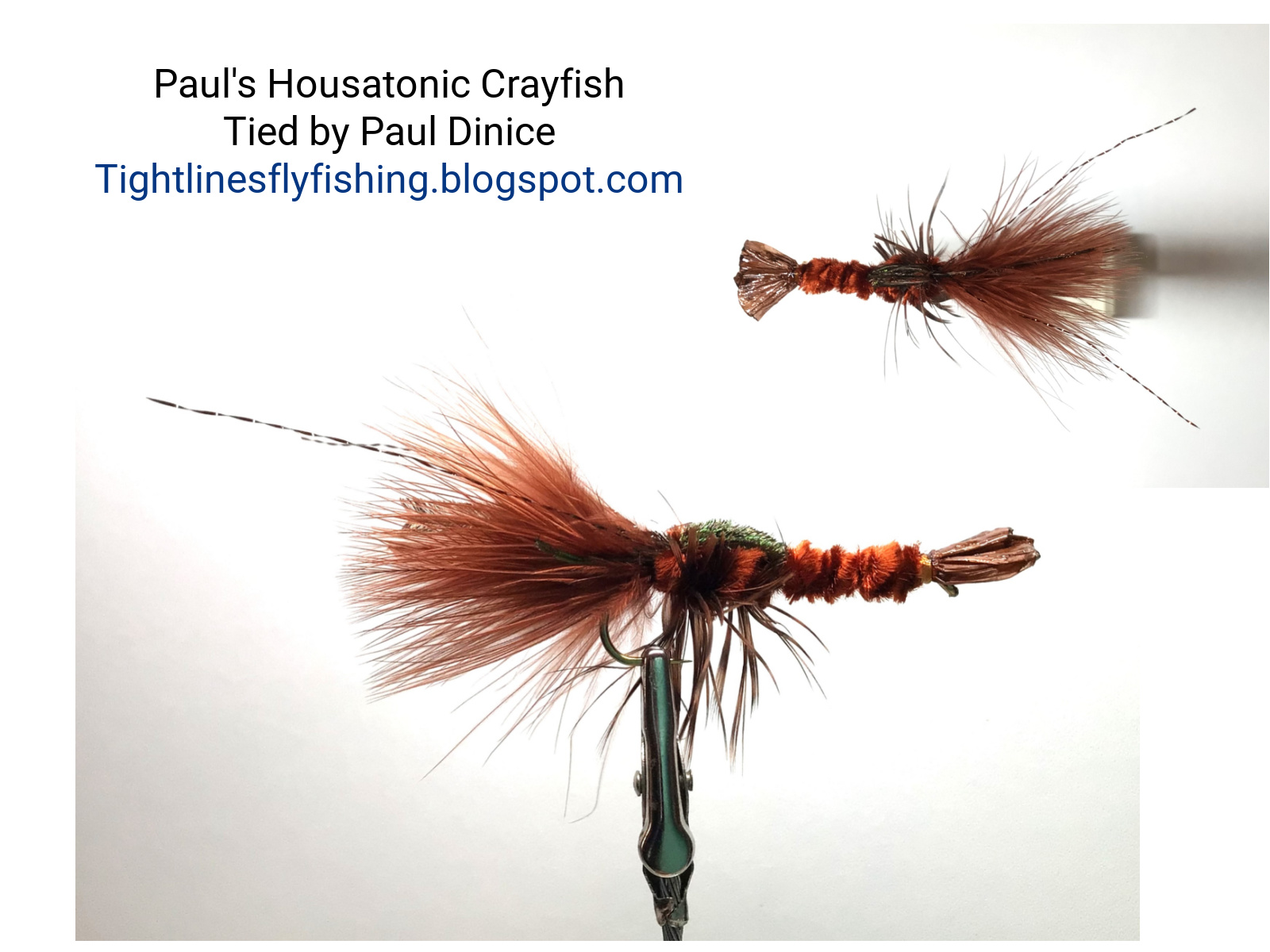 Scotty Mcfly Fly Pattern