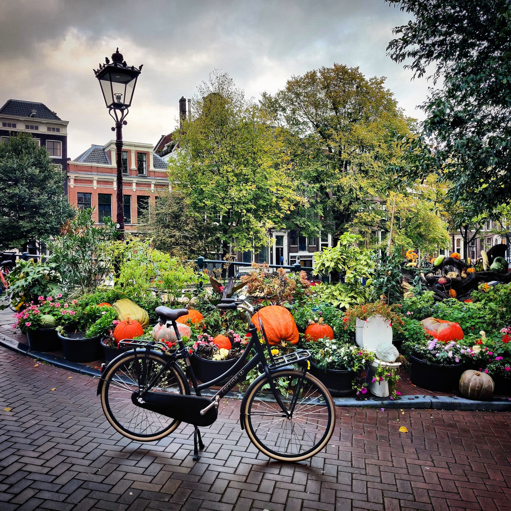 Quirky bikes in Amsterdam