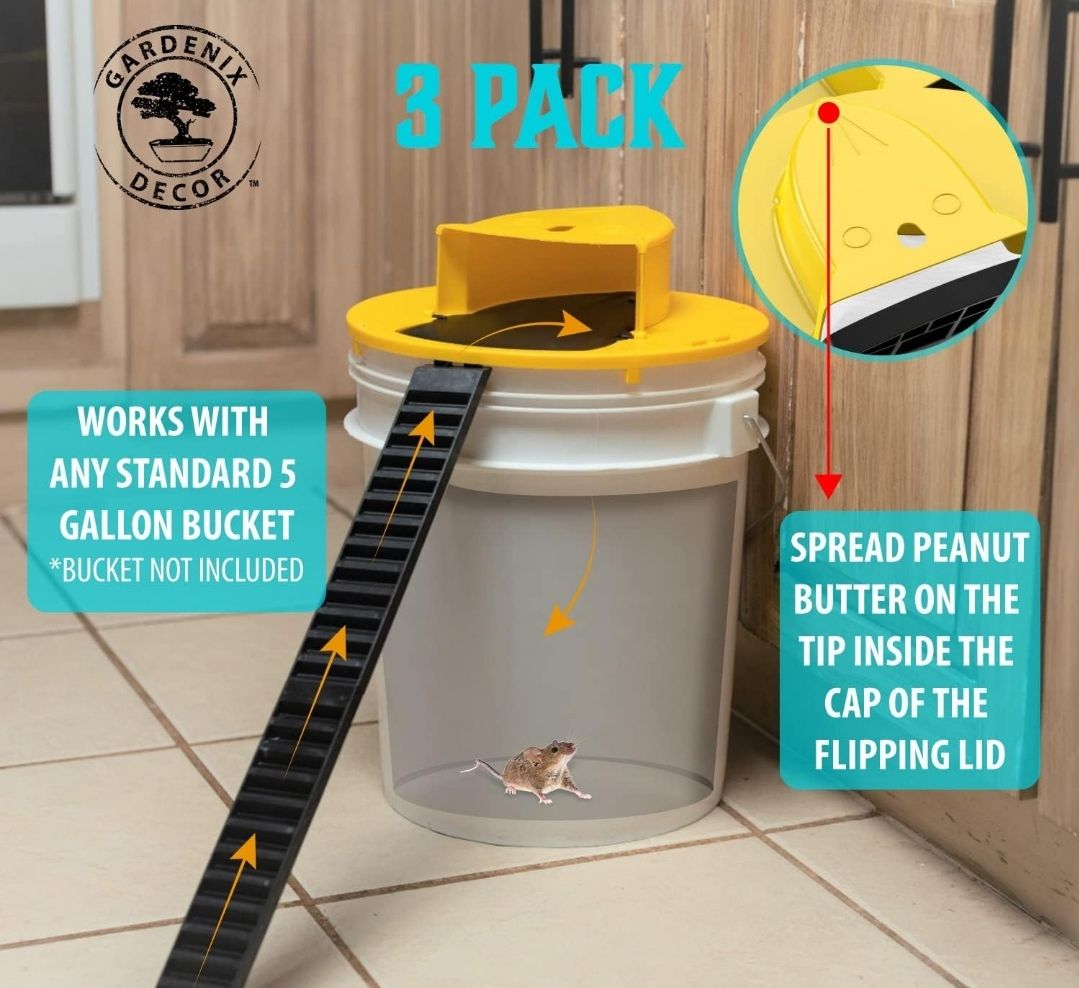 Flip & Slide Bucket Lid Mouse & Rat Trap – 2-Pack With Ramp, Humane Catcher 4 thumbnail image