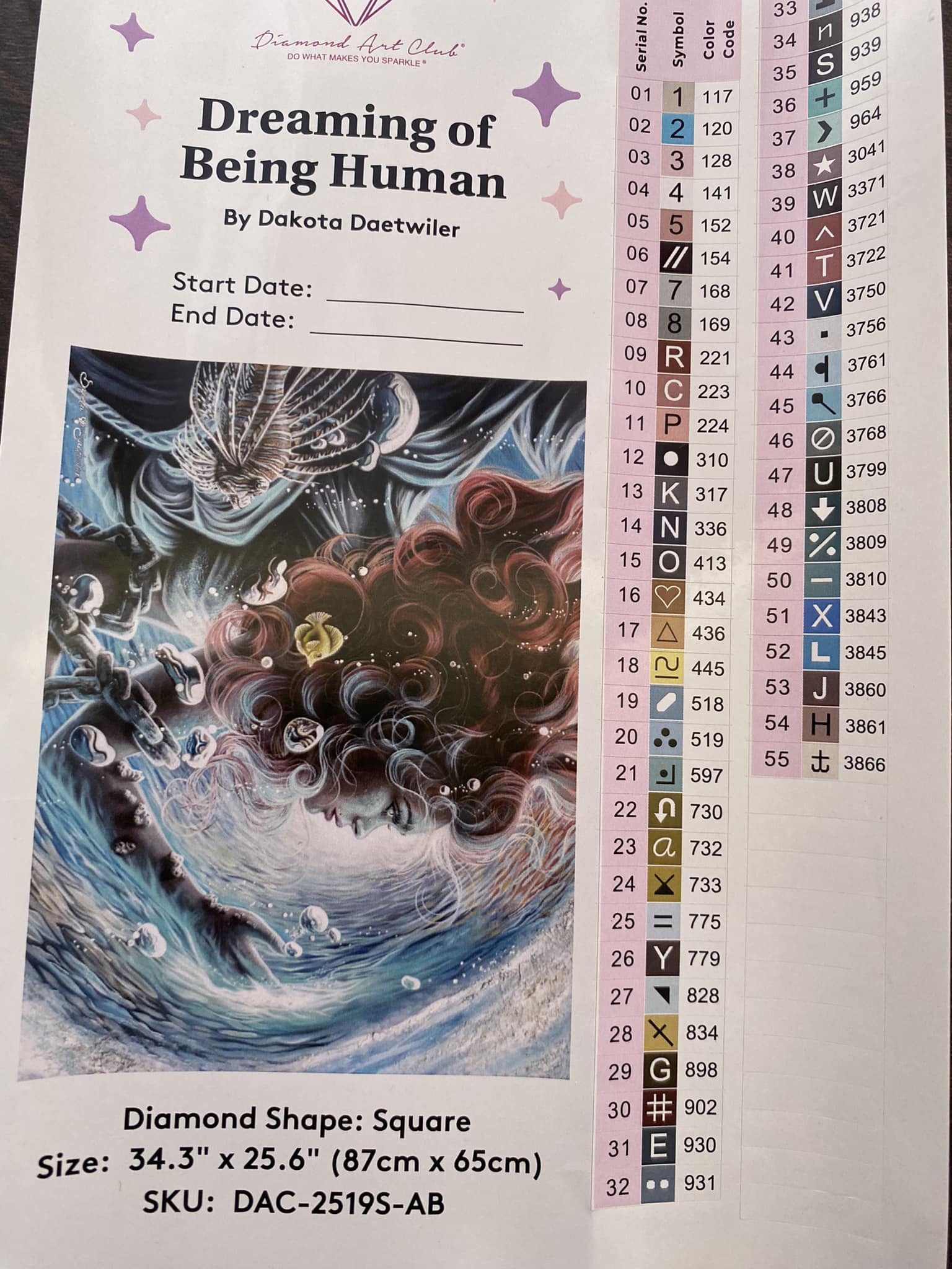 Diamond Art Club Dreaming of Being Human