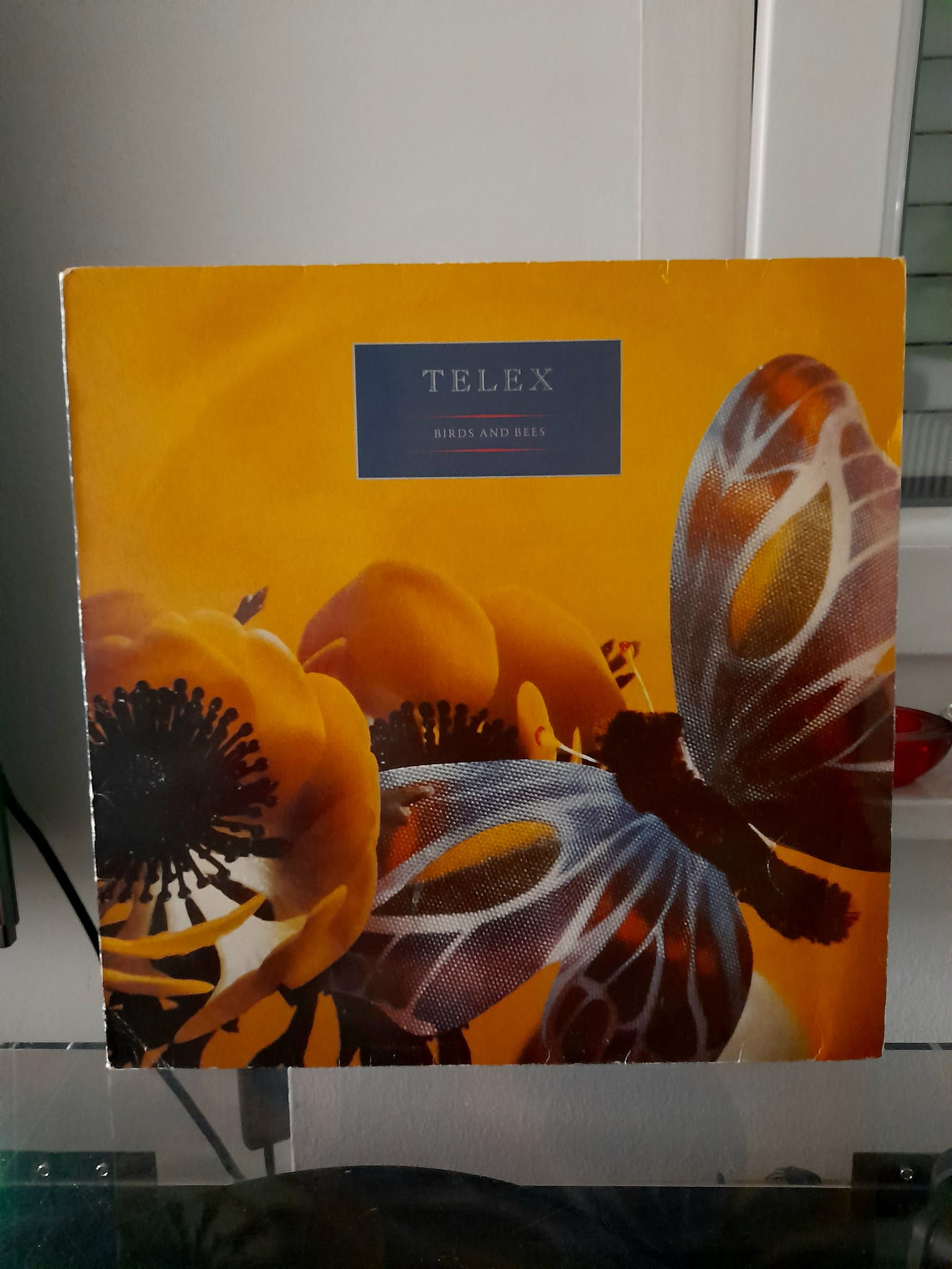 Telex 1979 synthpoo album 