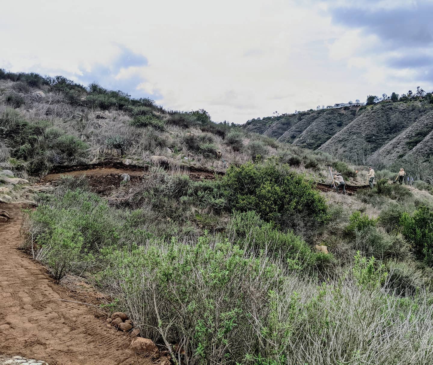 New trail! Scorpion Ridge... - San Diego County Trail Report | Facebook