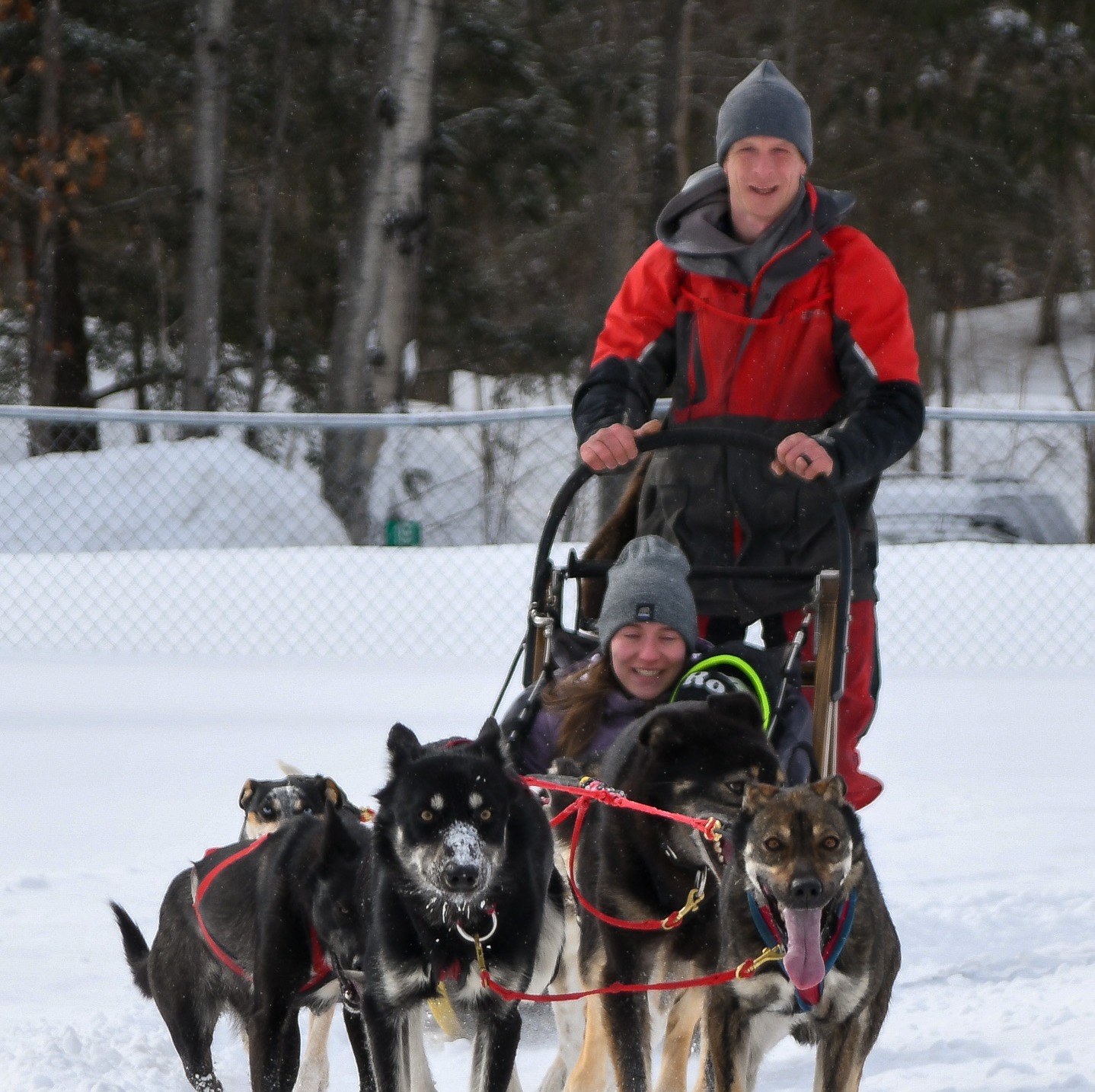Frustrating morning trying to get trails groomed again. Yesterday I ...