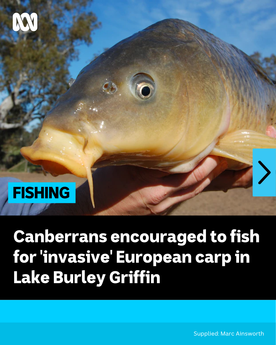 ABC Canberra - Canberra Fishermans Club President Glen Malam has ...