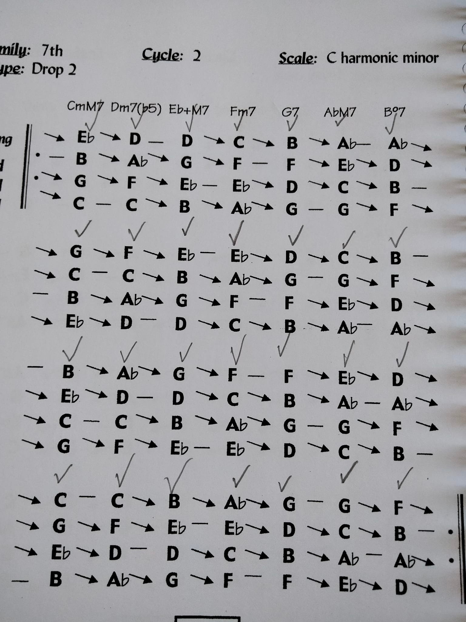 Pros and cons of 'Mr. Goodchord's Almanac of Guitar Voice Leading'