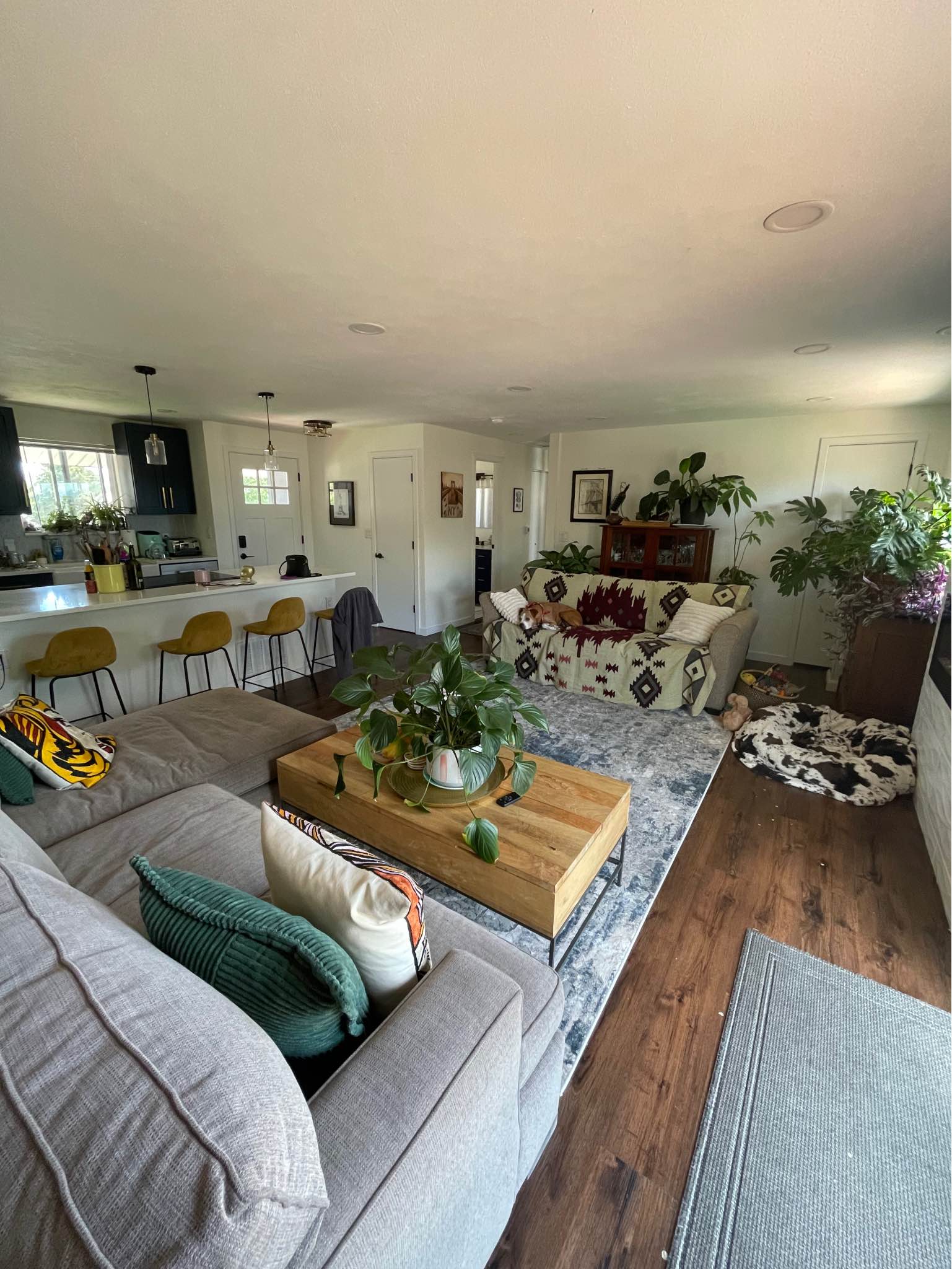 Private room for rent - Property Rentals - Denver, Colorado | Facebook ...