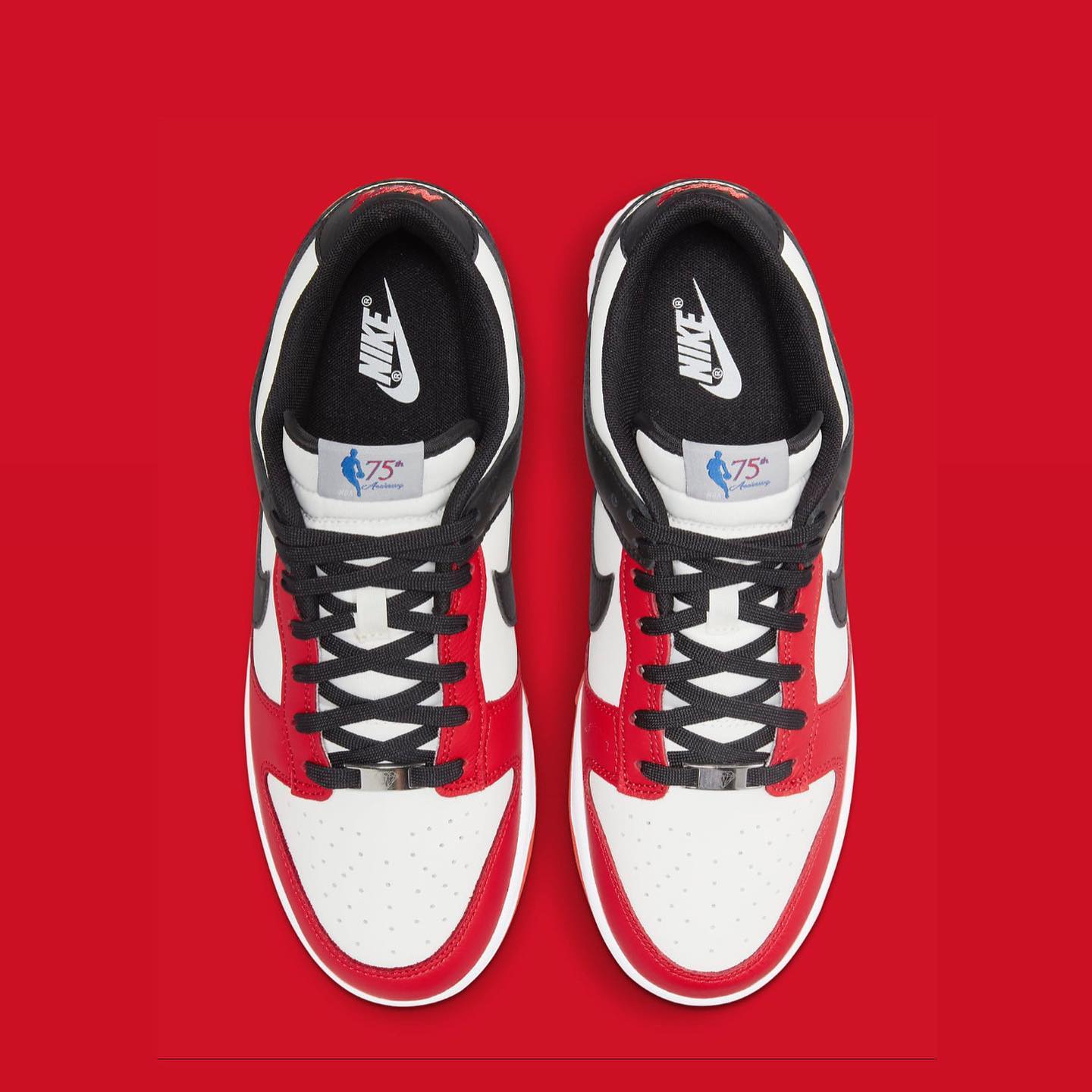 NBA x Nike Dunk Low 