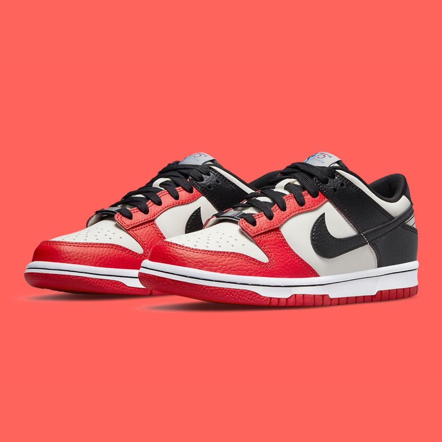NBA x Nike Dunk Low 