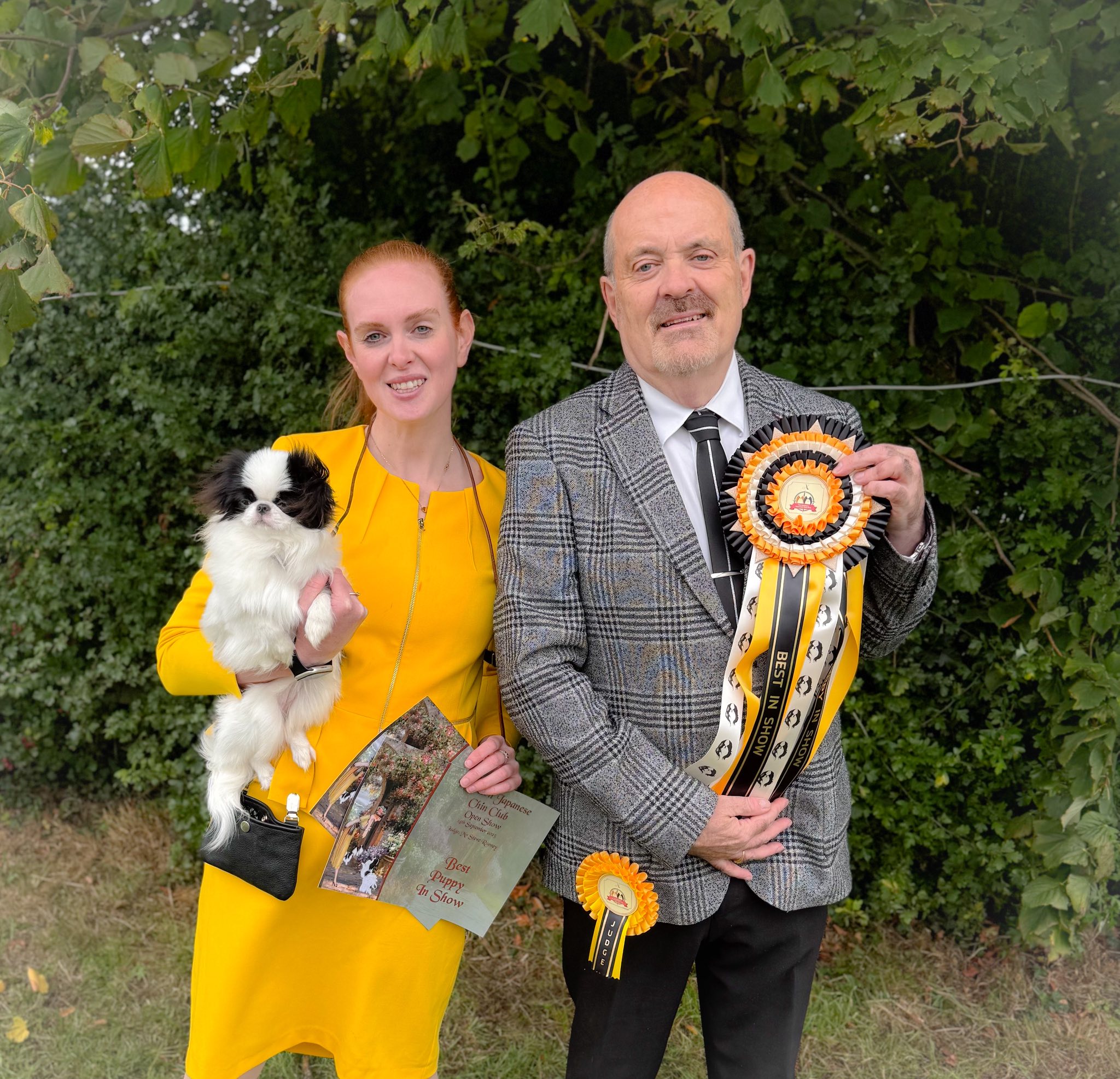 Northern Japanese Chin Club UK | Facebook
