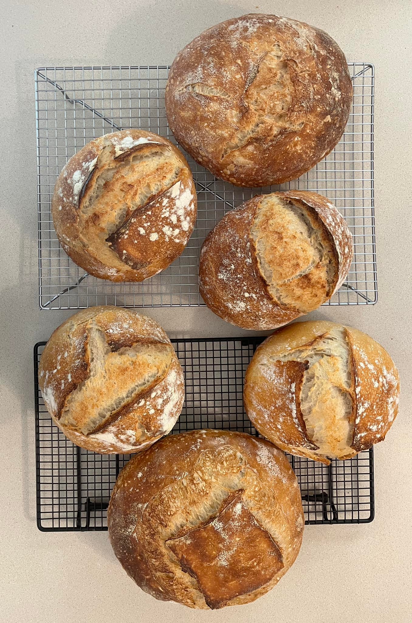 Soft and chewy sourdough crumb with crispy crust