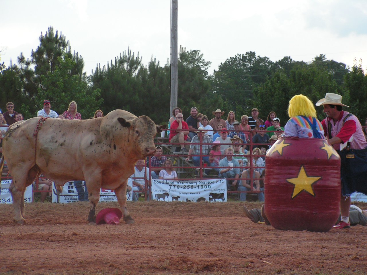 Carrollton Stampede Rodeo... - Carrollton Stampede Rodeo