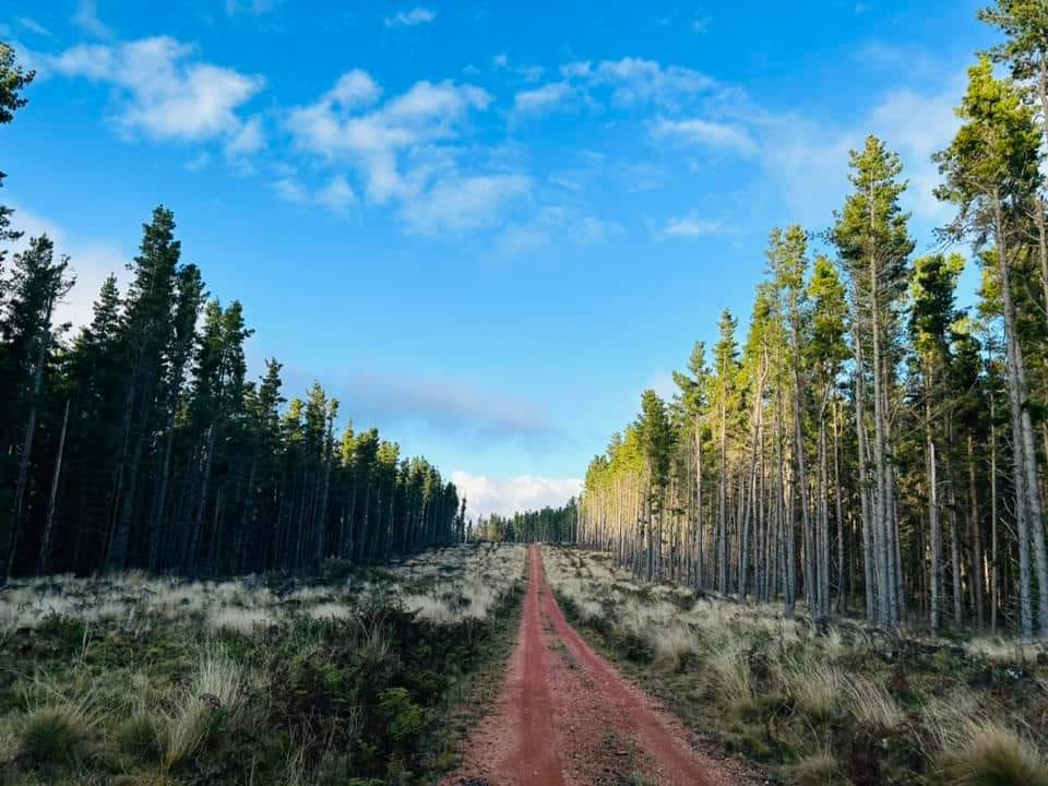 Nundle Fossicking | Has anyone checked in and around the Peel river ...