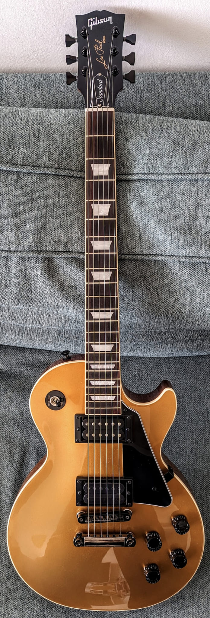 Modified Les Paul Standard 50's with Dimarzio pickups and Hipshot