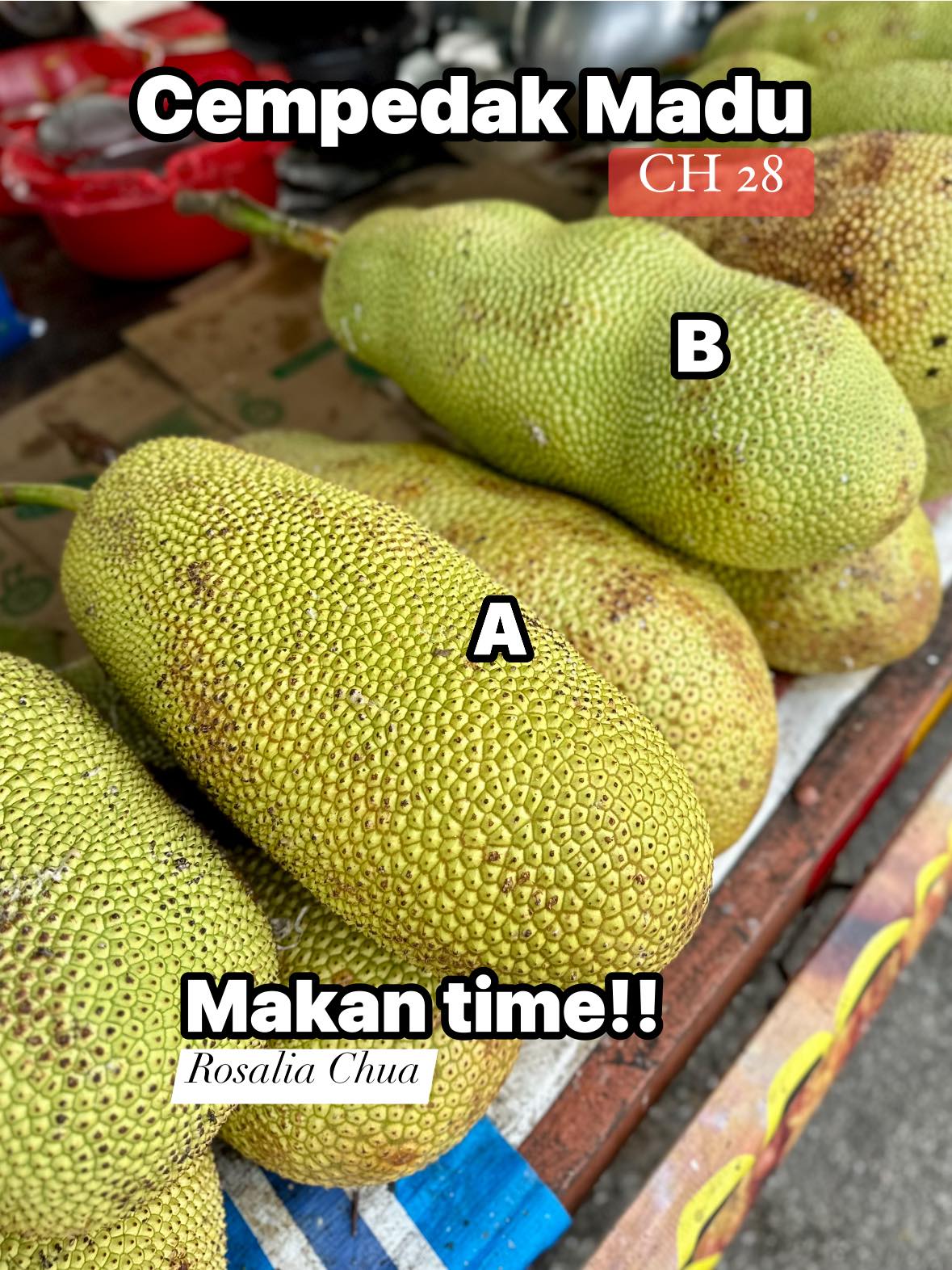 Chempedak fruit with thick flesh