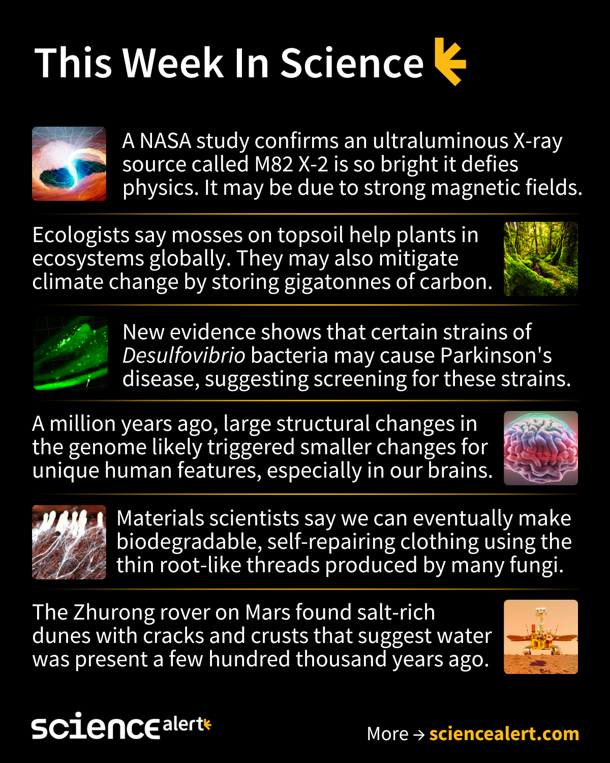ScienceAlert - 7-13 May 2023: This week in science – fungi fabric ...