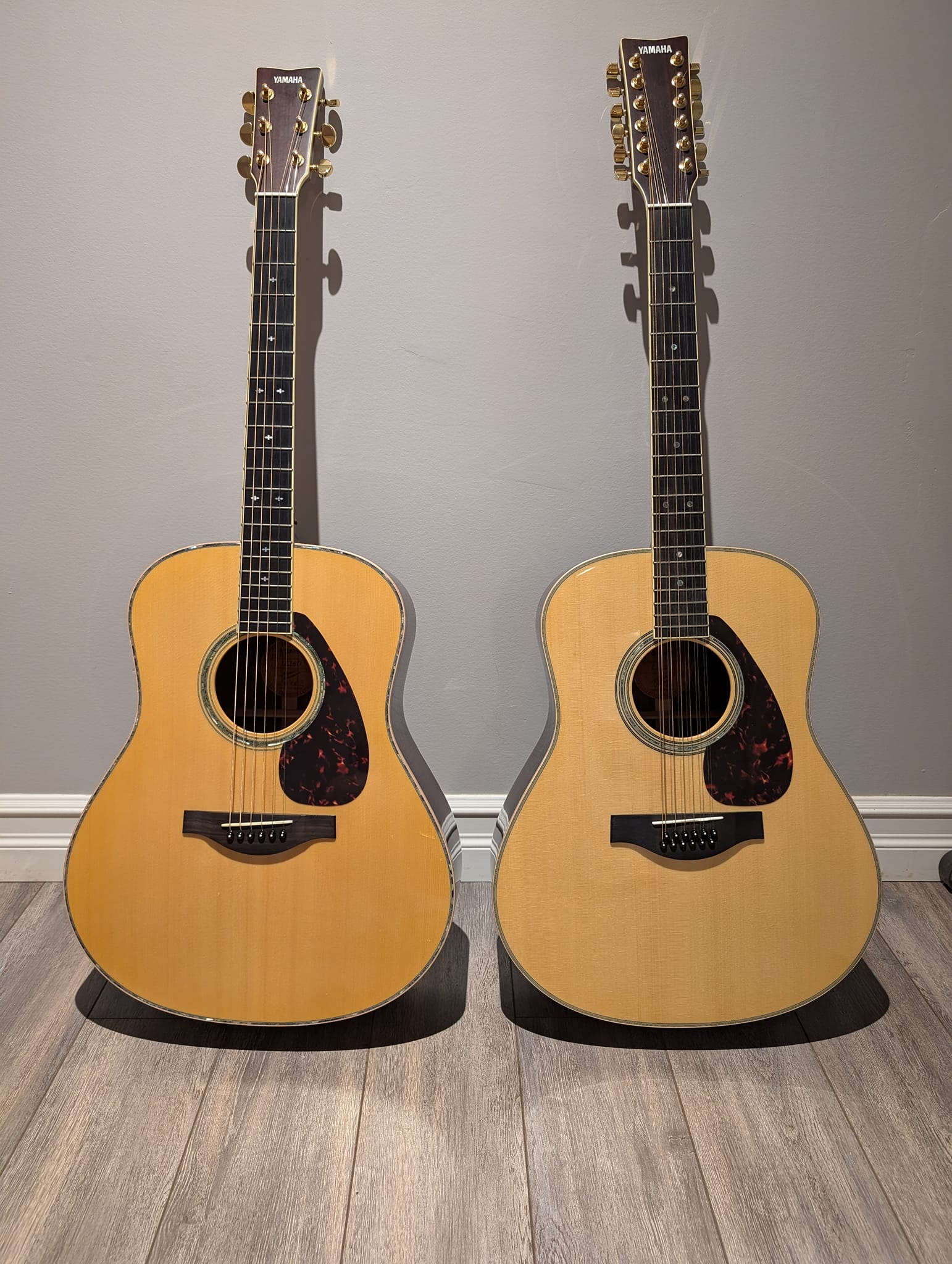 My two. LL16D and a LL16 in 12 string