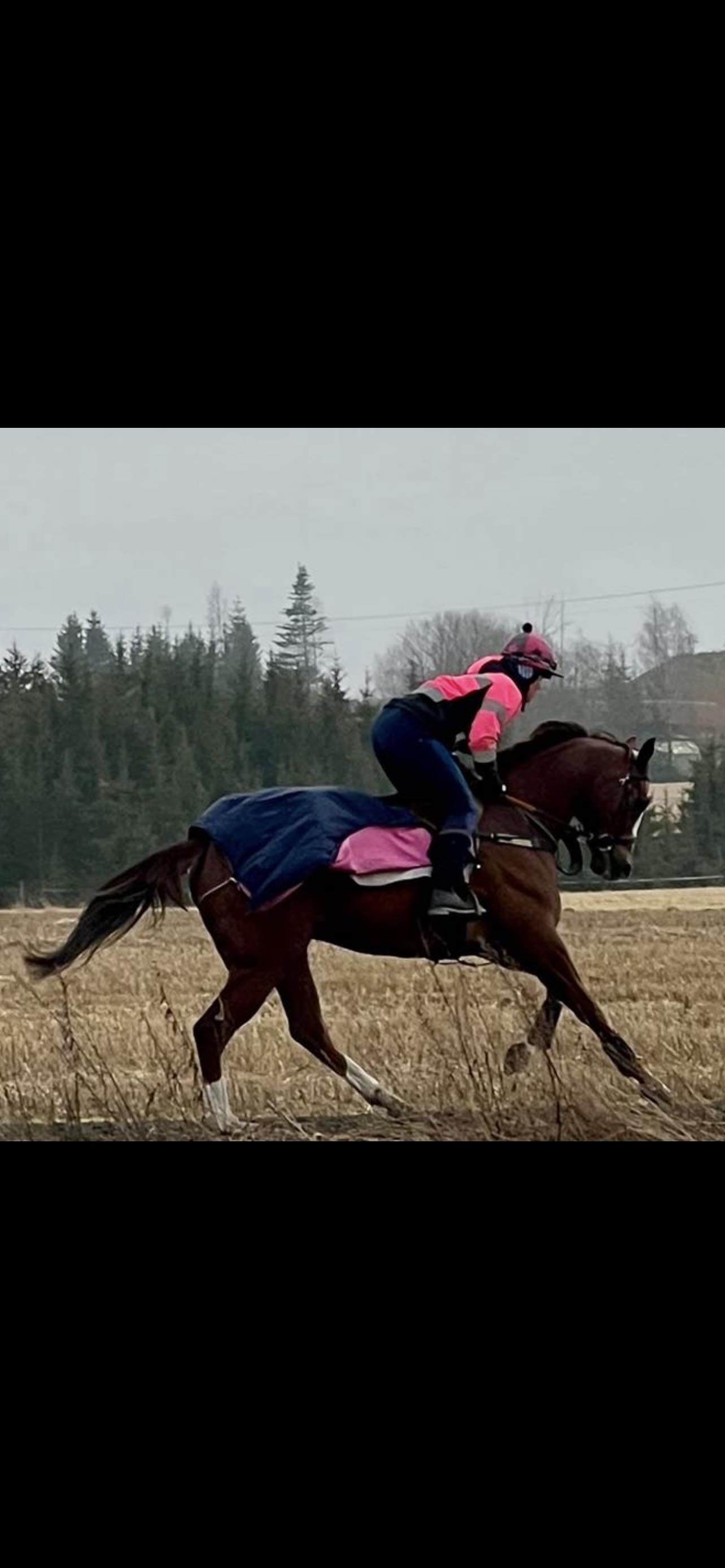 Tonje Rustad