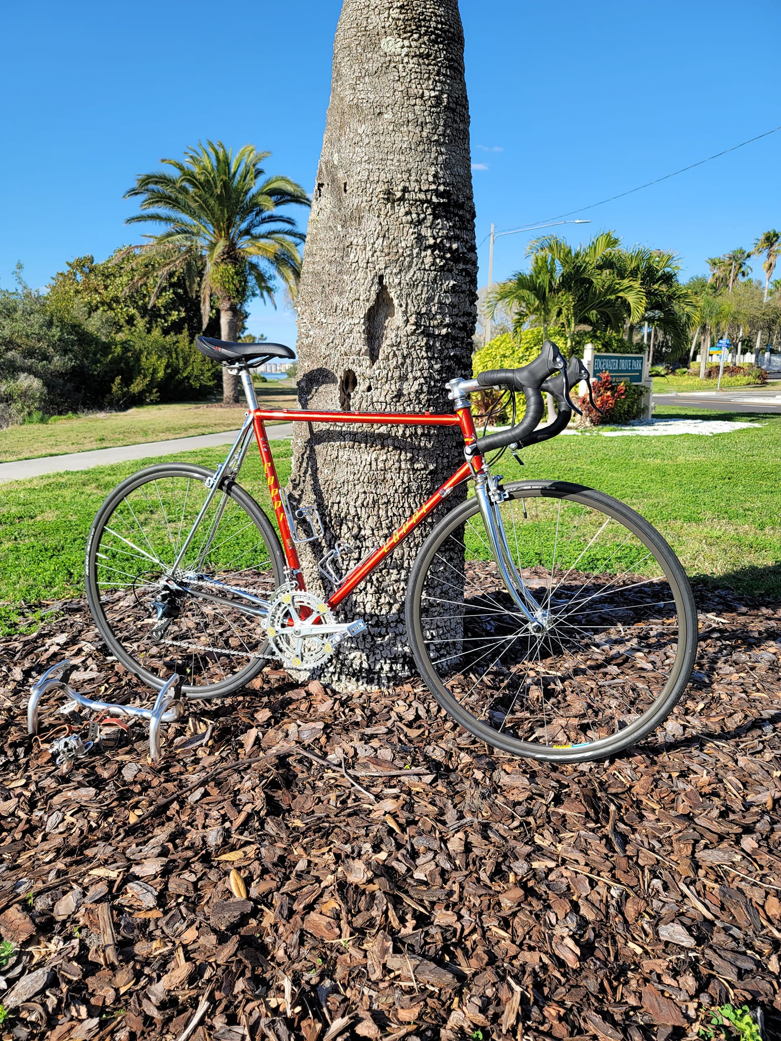What year and model is this Coppi bike?