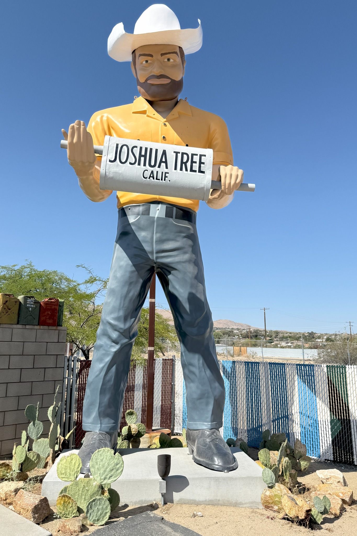 Side Trips on Historic Route 66: Amboy to Joshua Tree