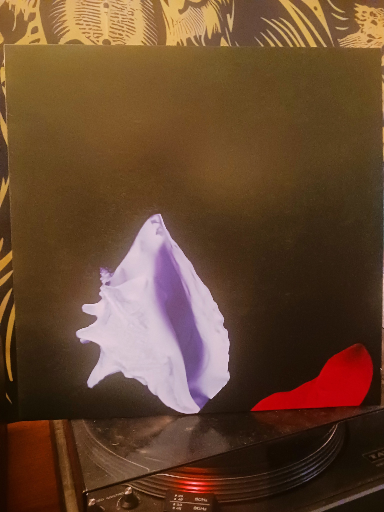 New Order