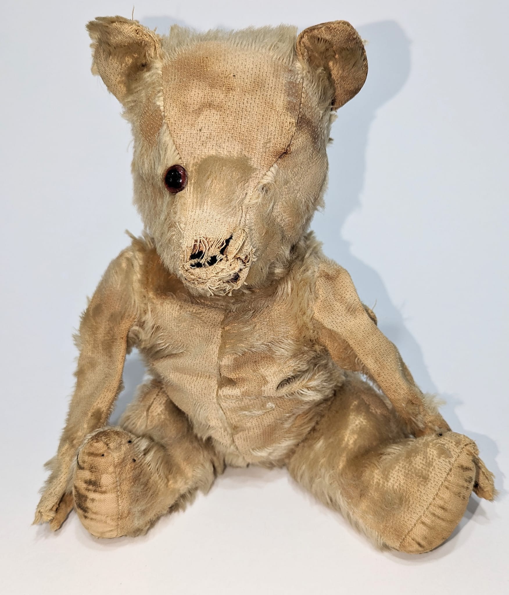 What is the origin of this 70-year-old teddy bear?