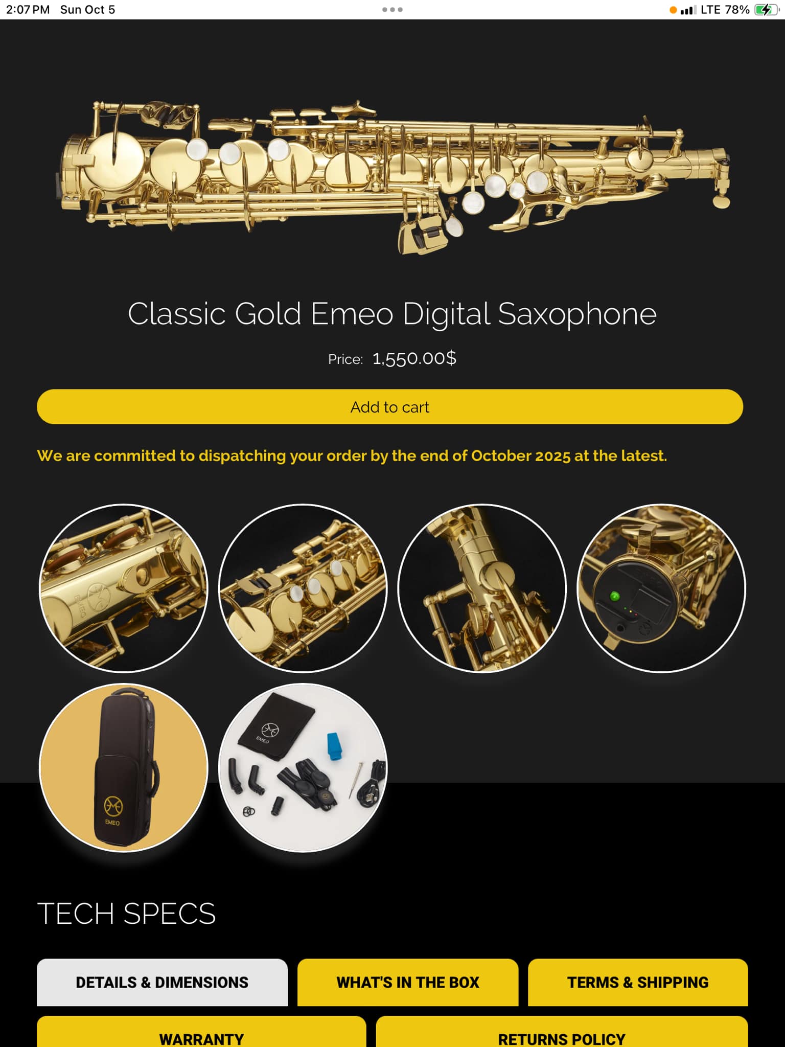 Is Emeo saxophone serviceable and repairable?