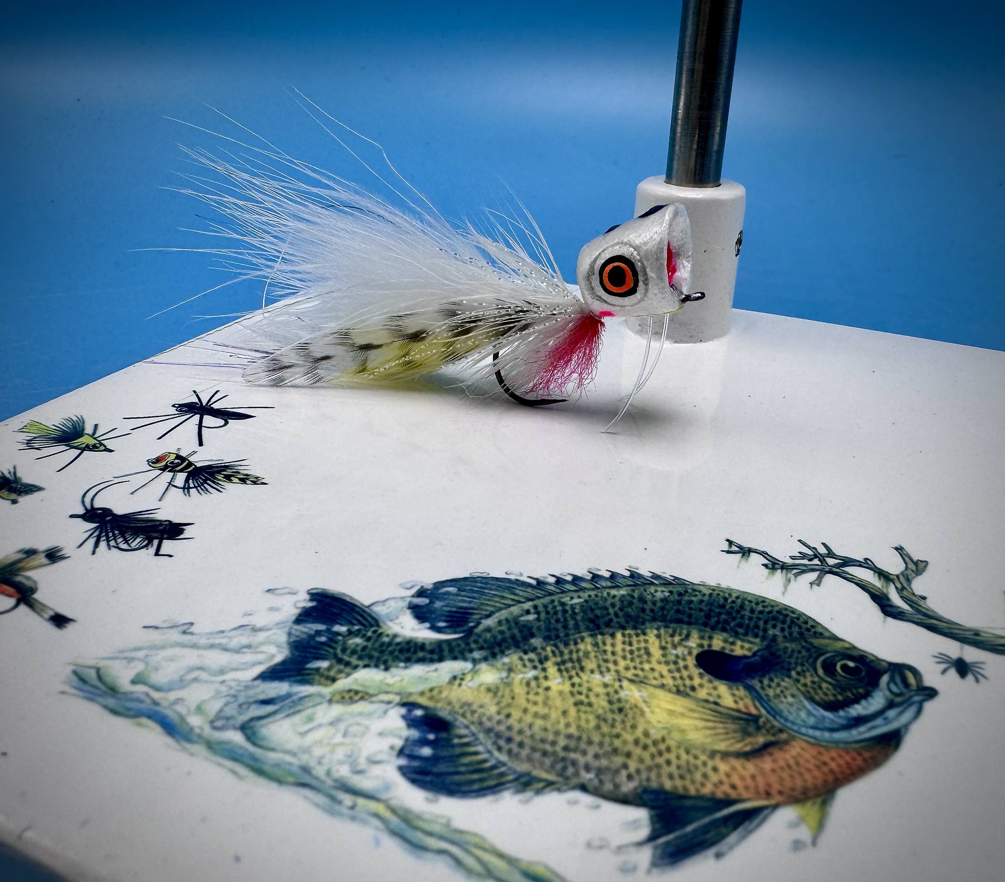 2021 st croix rods St. 6000DX Size:Length: 3 1/2