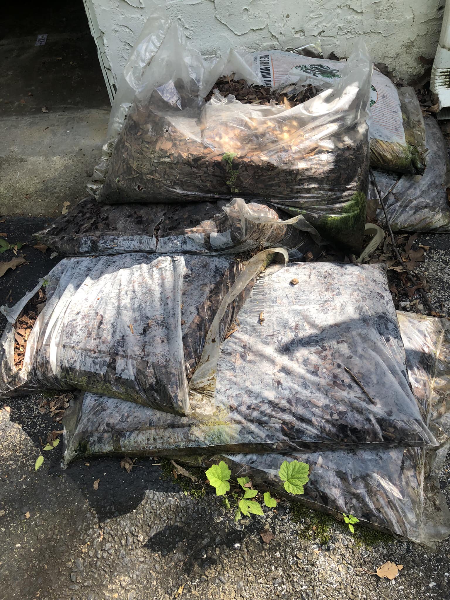 Can I reuse old bags of mulch?