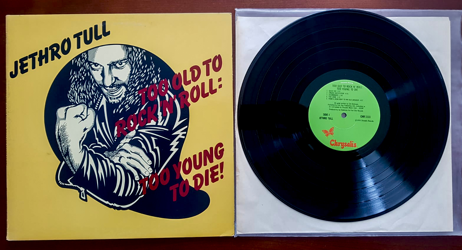 Framed & Ready To Hang Die Cut Vinyl Record - Jethro Tull