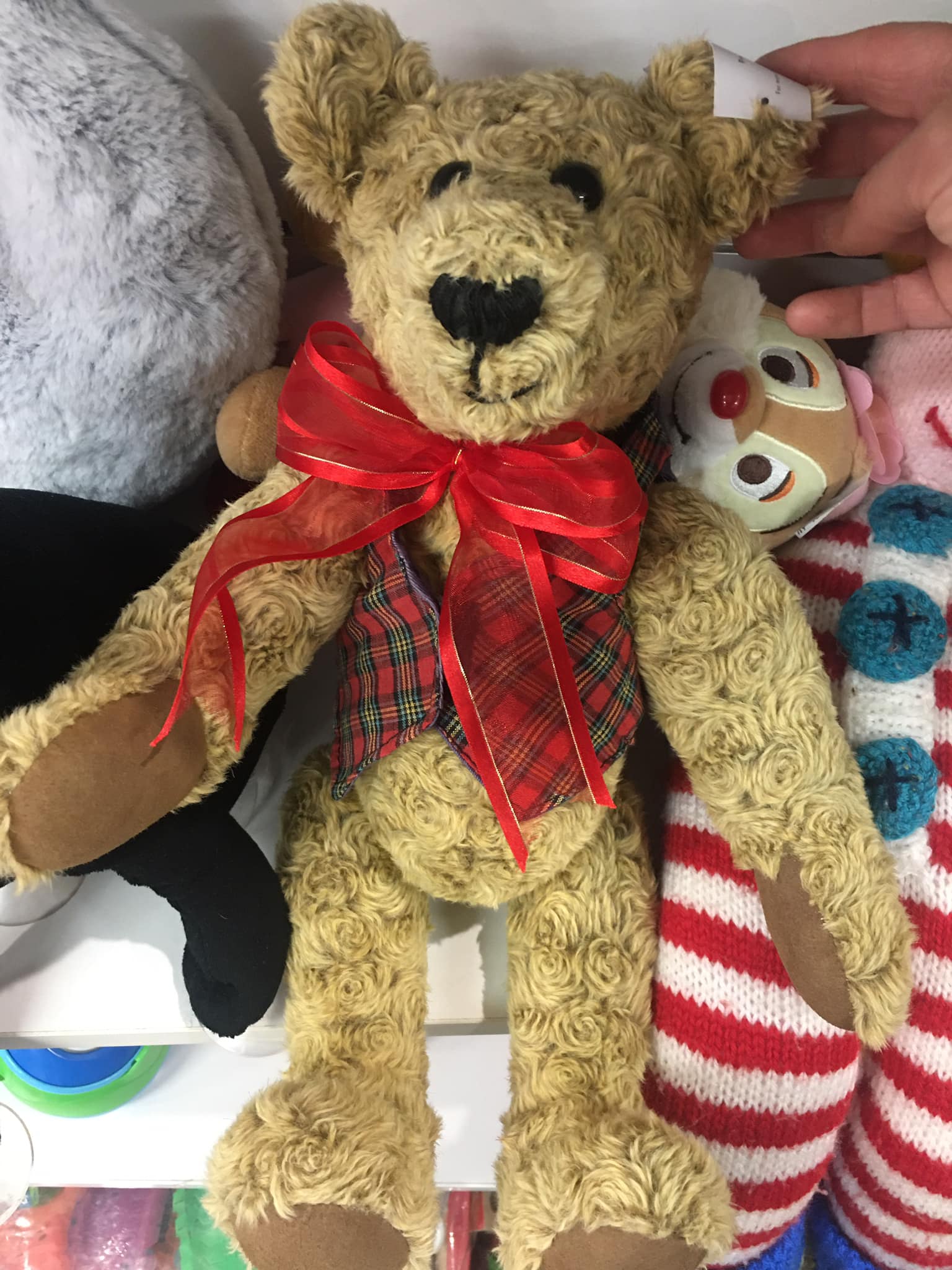 Could someone tell me the name of this bear? It no longer has a tag