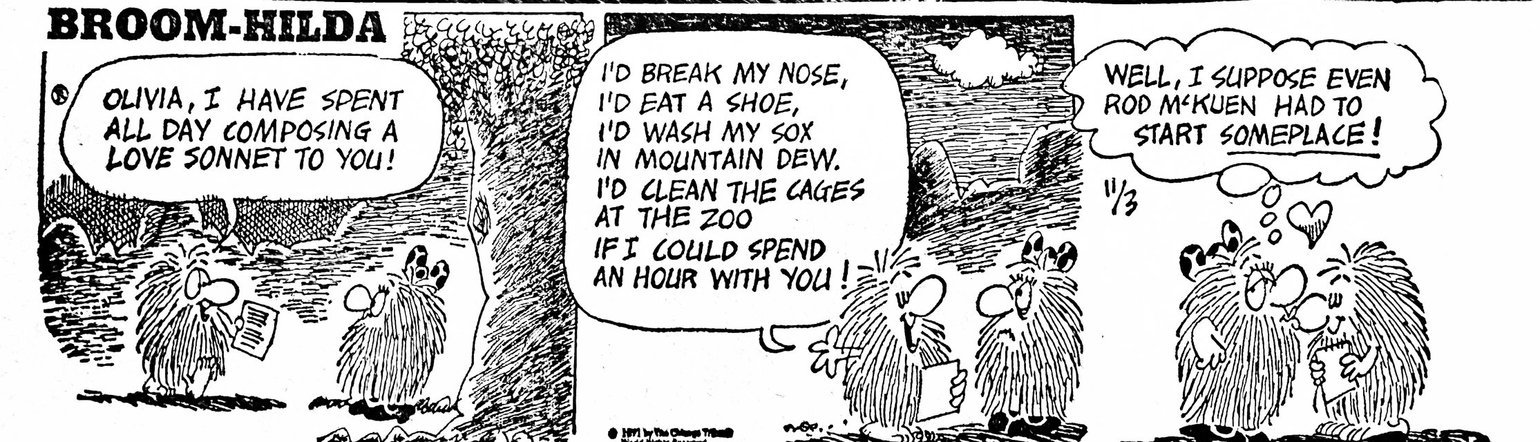 Broom Hilda, by Russell Myers: June 3, 1973