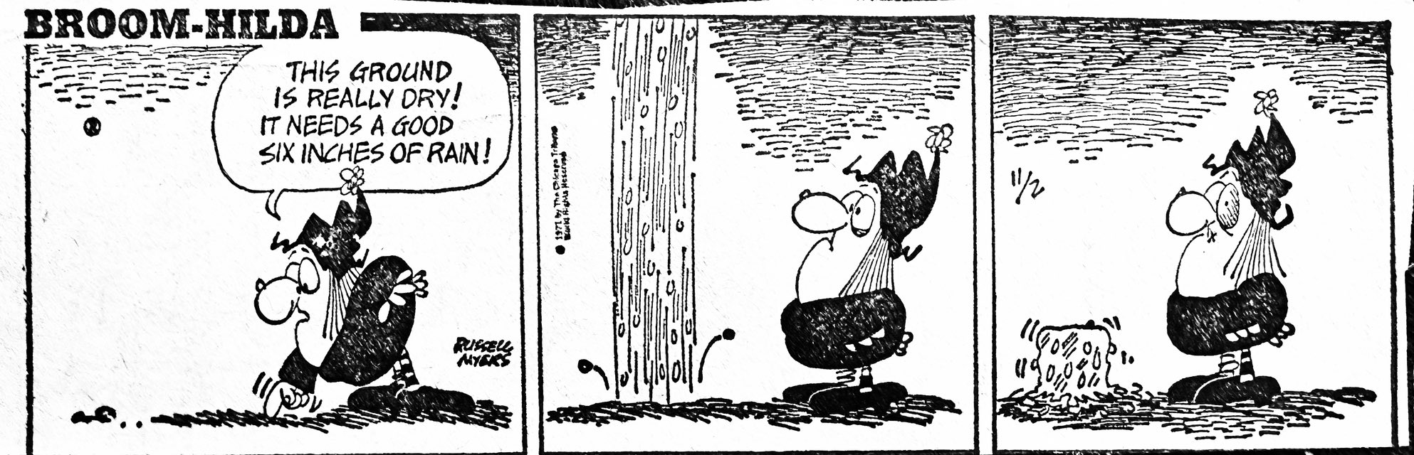 Broom Hilda, by Russell Myers: June 3, 1973