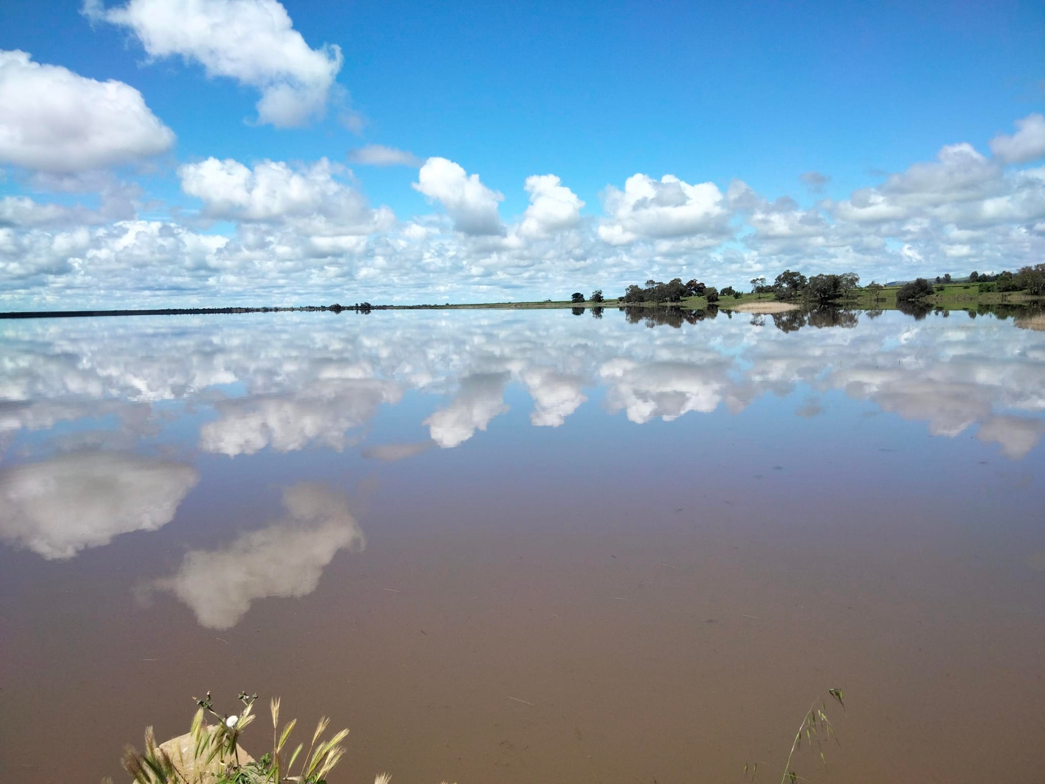 Water for Lake Cooper | Corop VIC