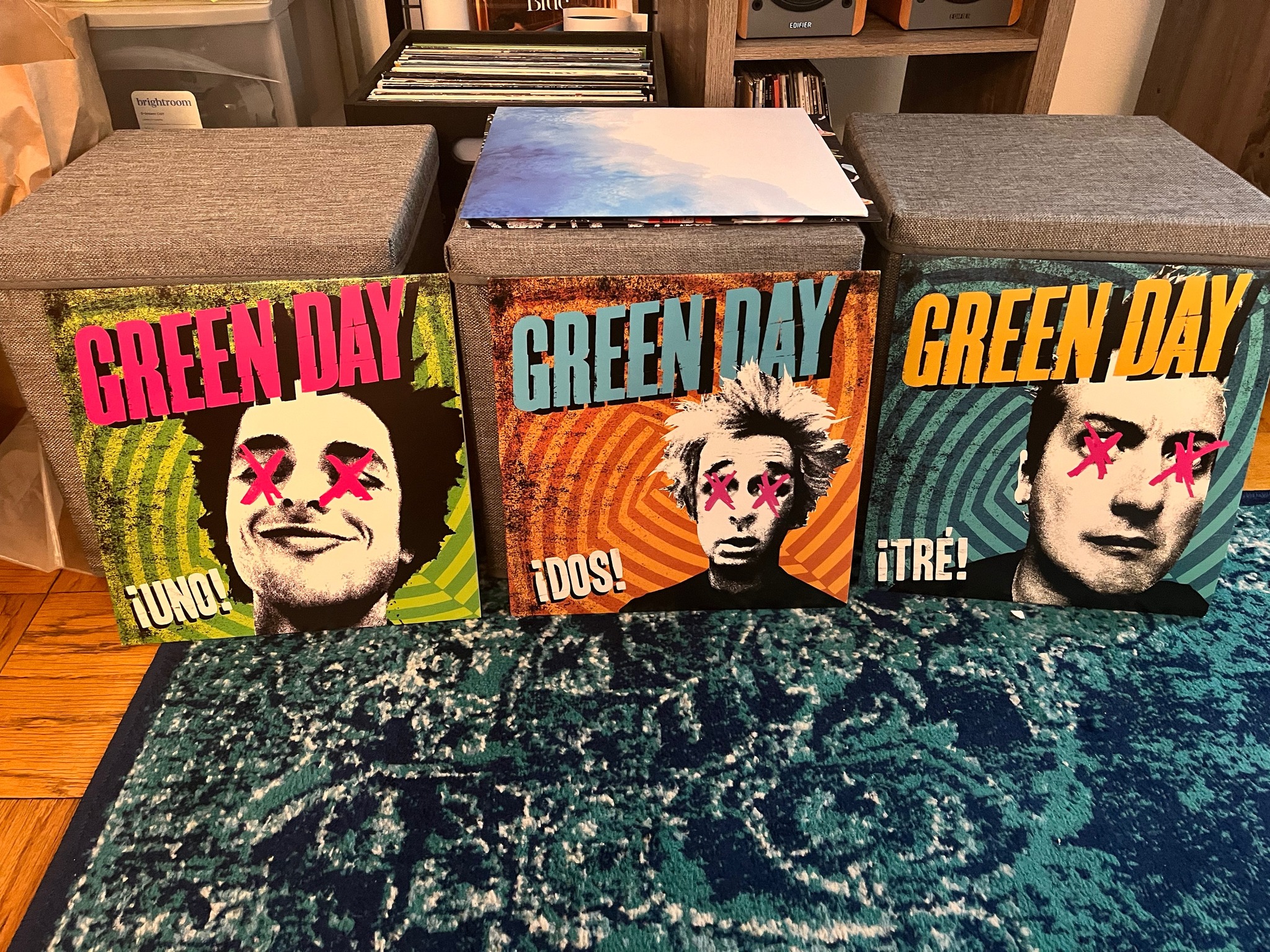 What rare or obscure Green Day vinyls do you own?