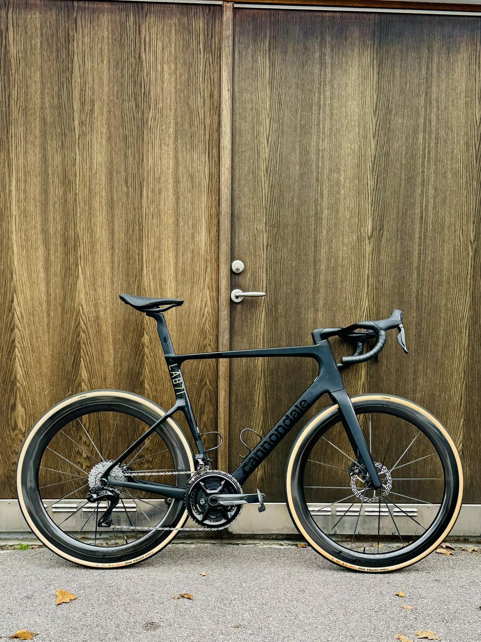 Cannondale SuperSix EVO Hi-Mod Disc, Agave, Size 48. Built with 