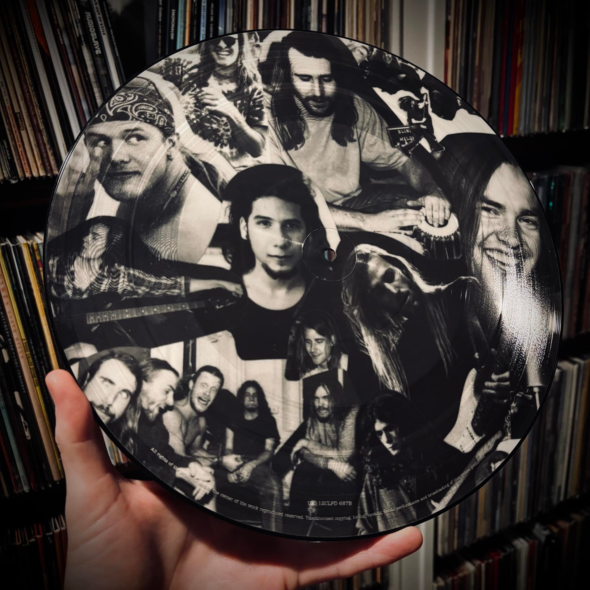 Rare Blind Melon picture disc in vinyl collection