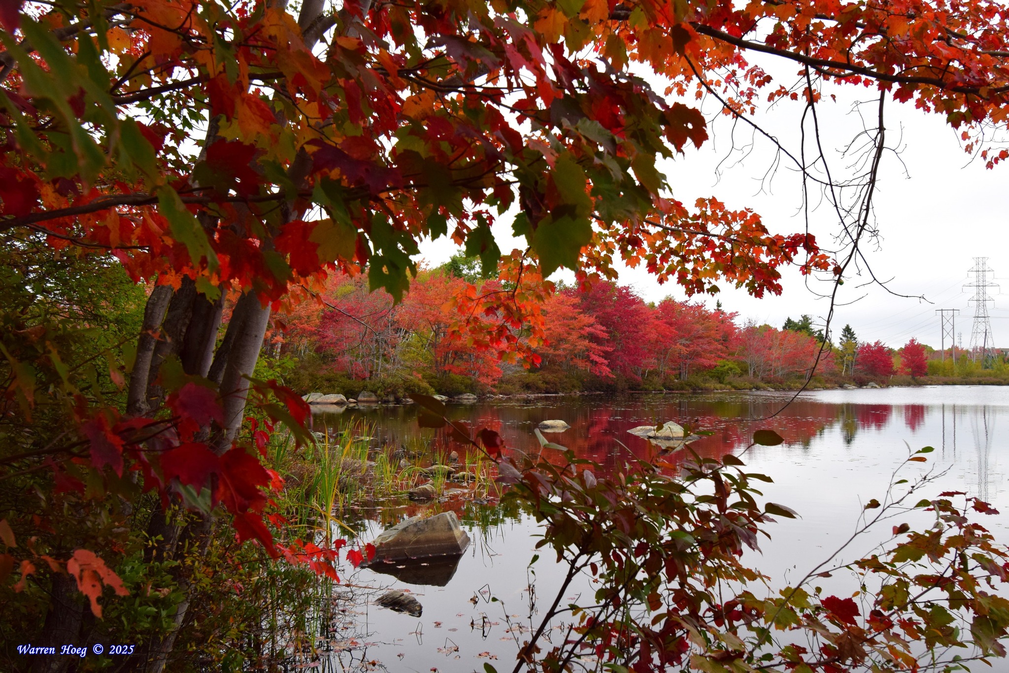 Urban Halifax Photos | You don't have to travel far from home, this ...