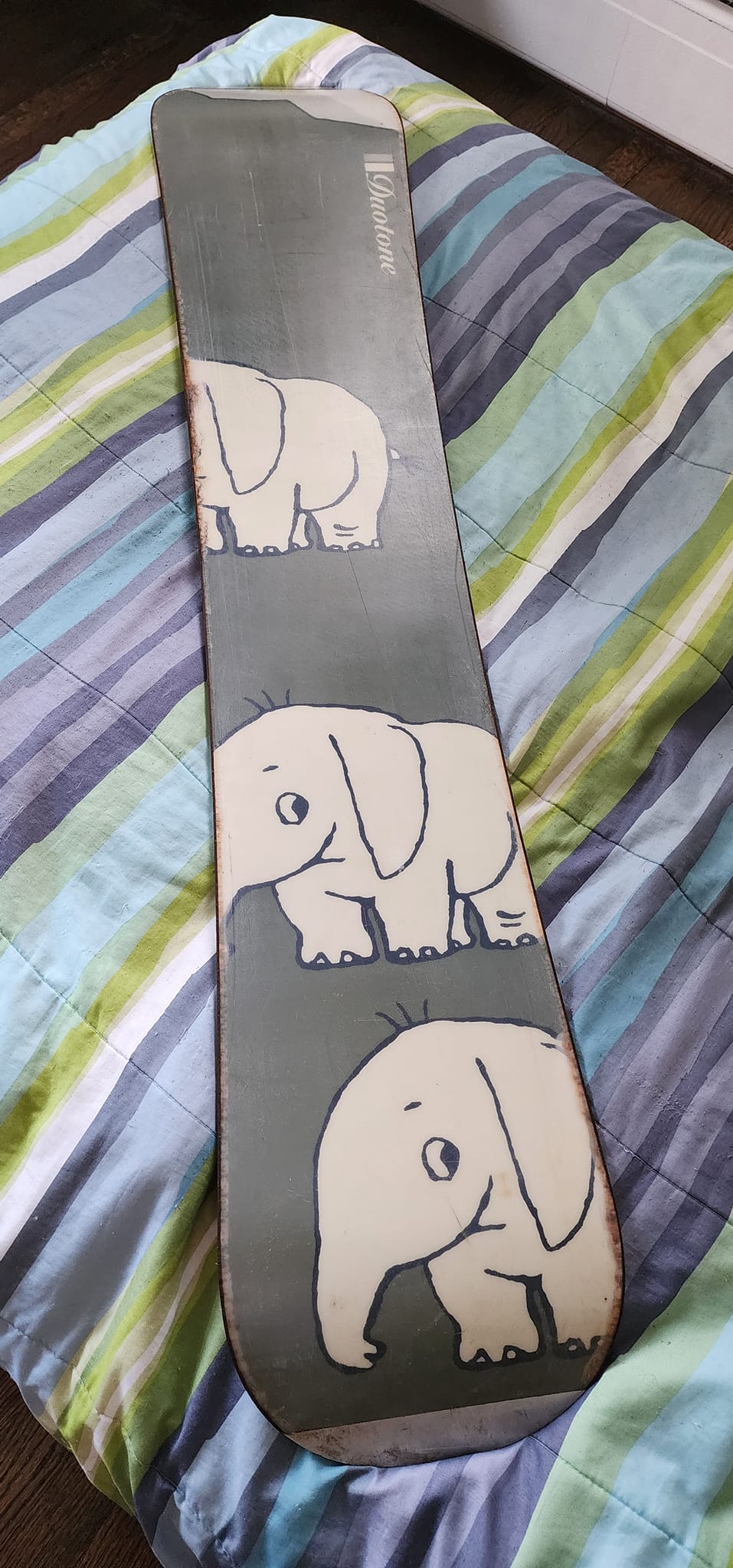 burton elephant snowboard Fish 3D 2025 – evo The twin shape makes going backward and forwards a mirror Men's Complete Snowboard Rental with